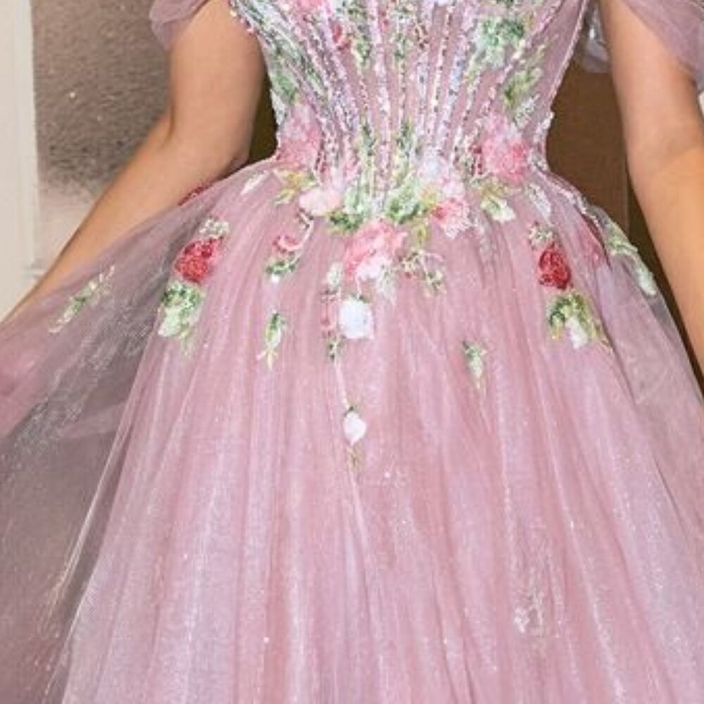New Off Shoulder Evening Tulle Gown w/ Floral Applique & Layered Skirt CD A1479 - Picture 6 of 11
